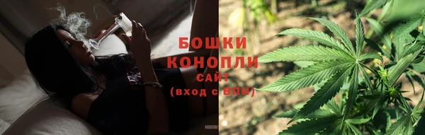 PSILOCYBIN Переславль-Залесский