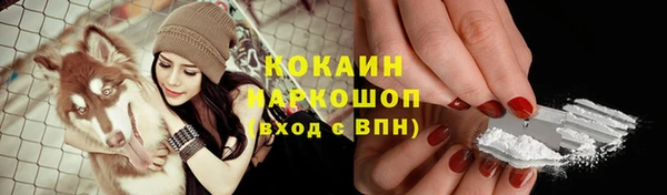 PSILOCYBIN Переславль-Залесский