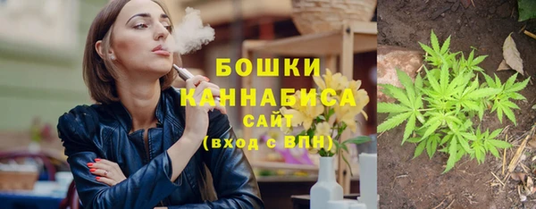 PSILOCYBIN Переславль-Залесский