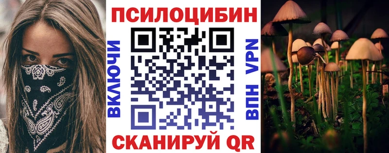 Псилоцибиновые грибы мухоморы  наркотики  Тутаев 